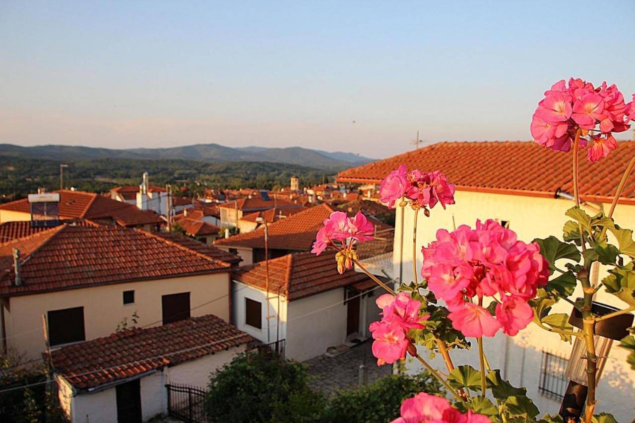 Traditional House "Plystario" Arnaia Exterior photo